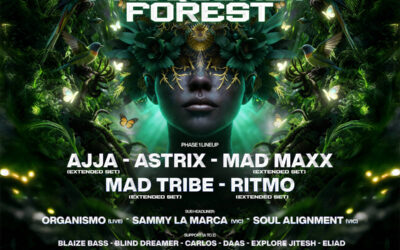 Frequency Forest - NSW, Australia | RutaPsy