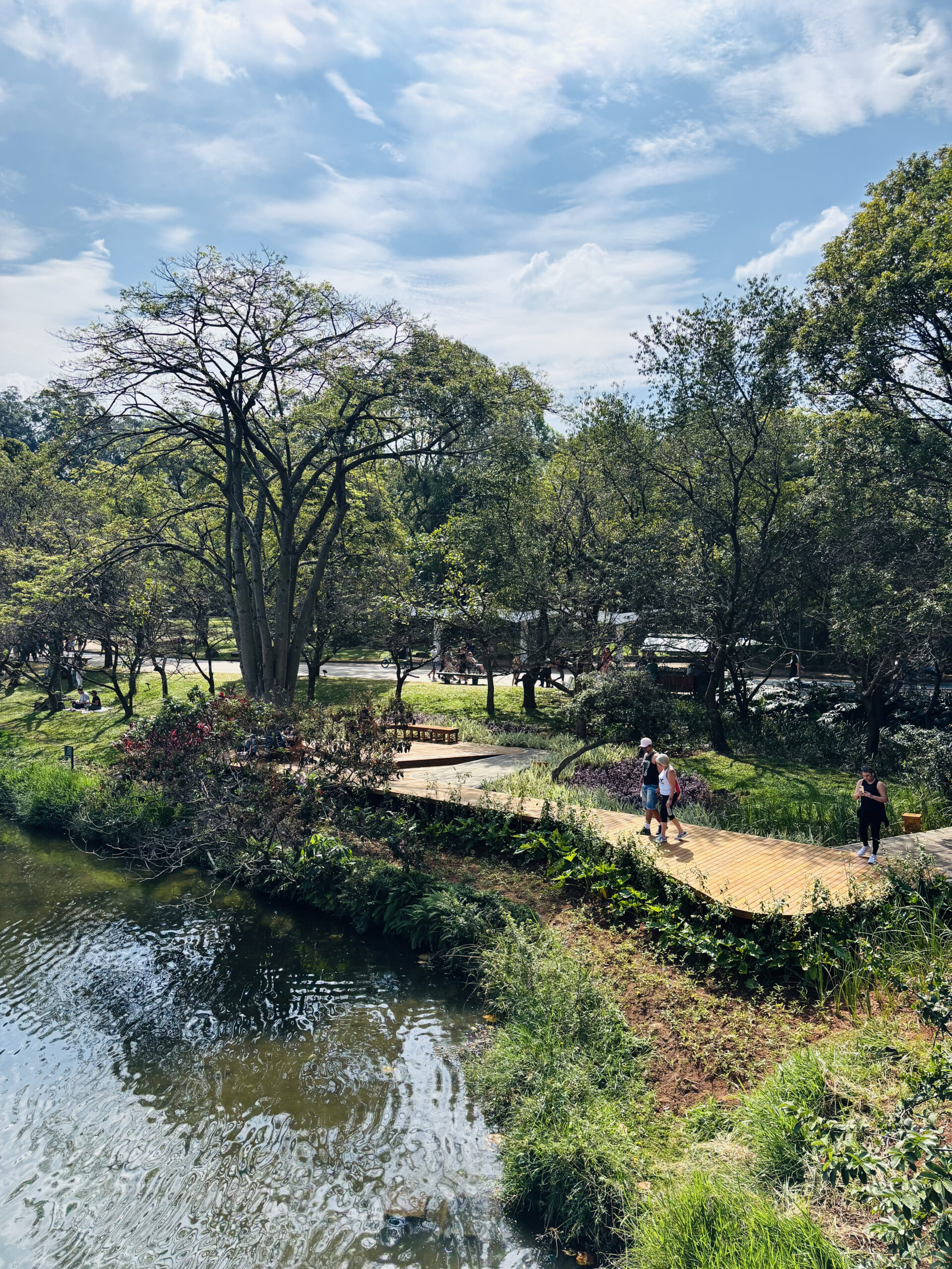 Avenida Paulista peatonal en domingo