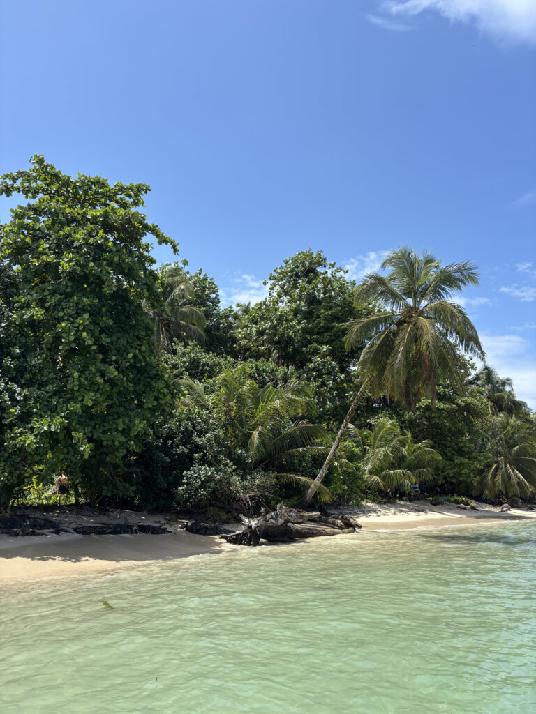 Ruta Tribal Gathering – Opcion larga