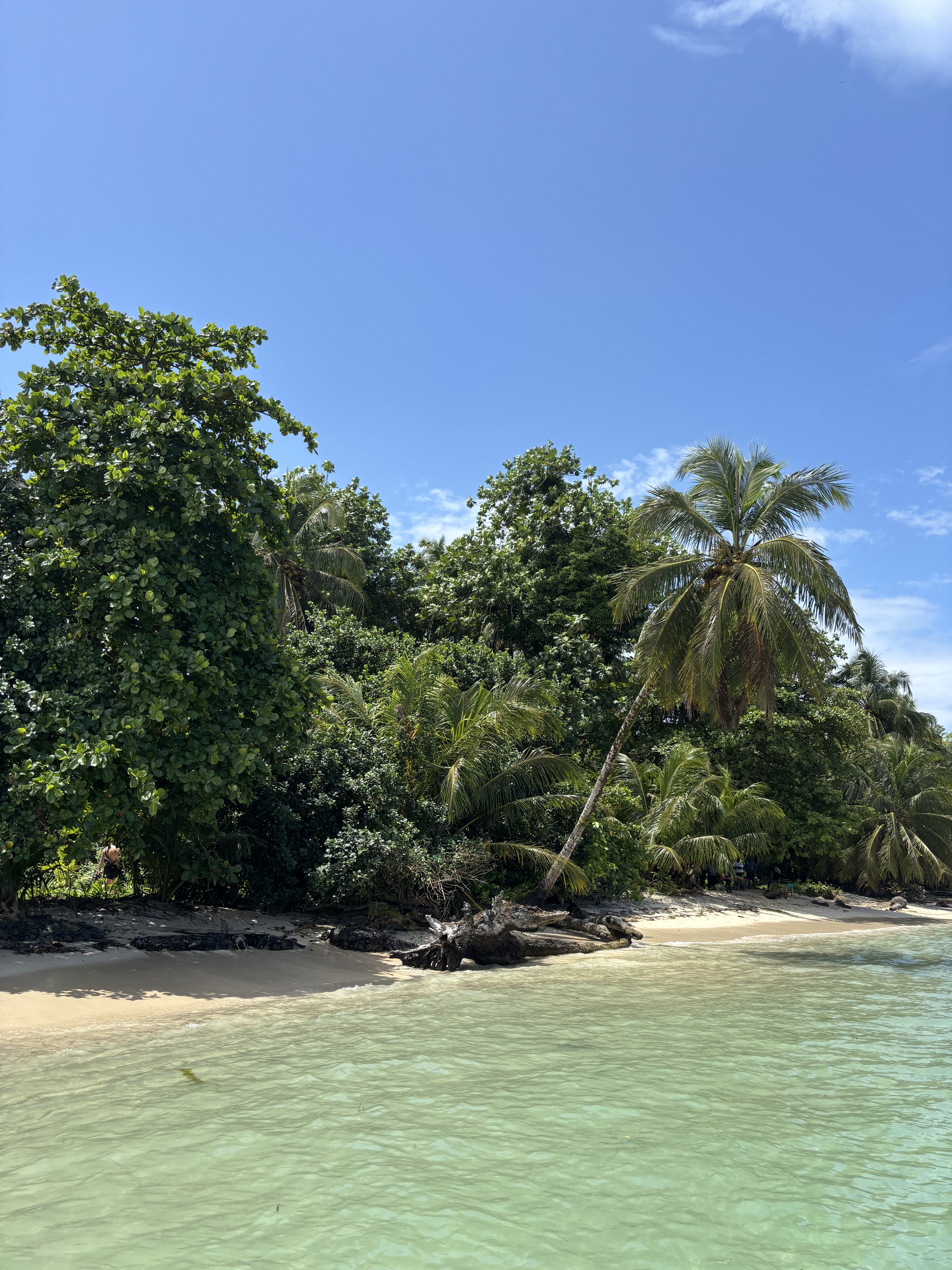 Aguas turquesa de Bocas del Toro