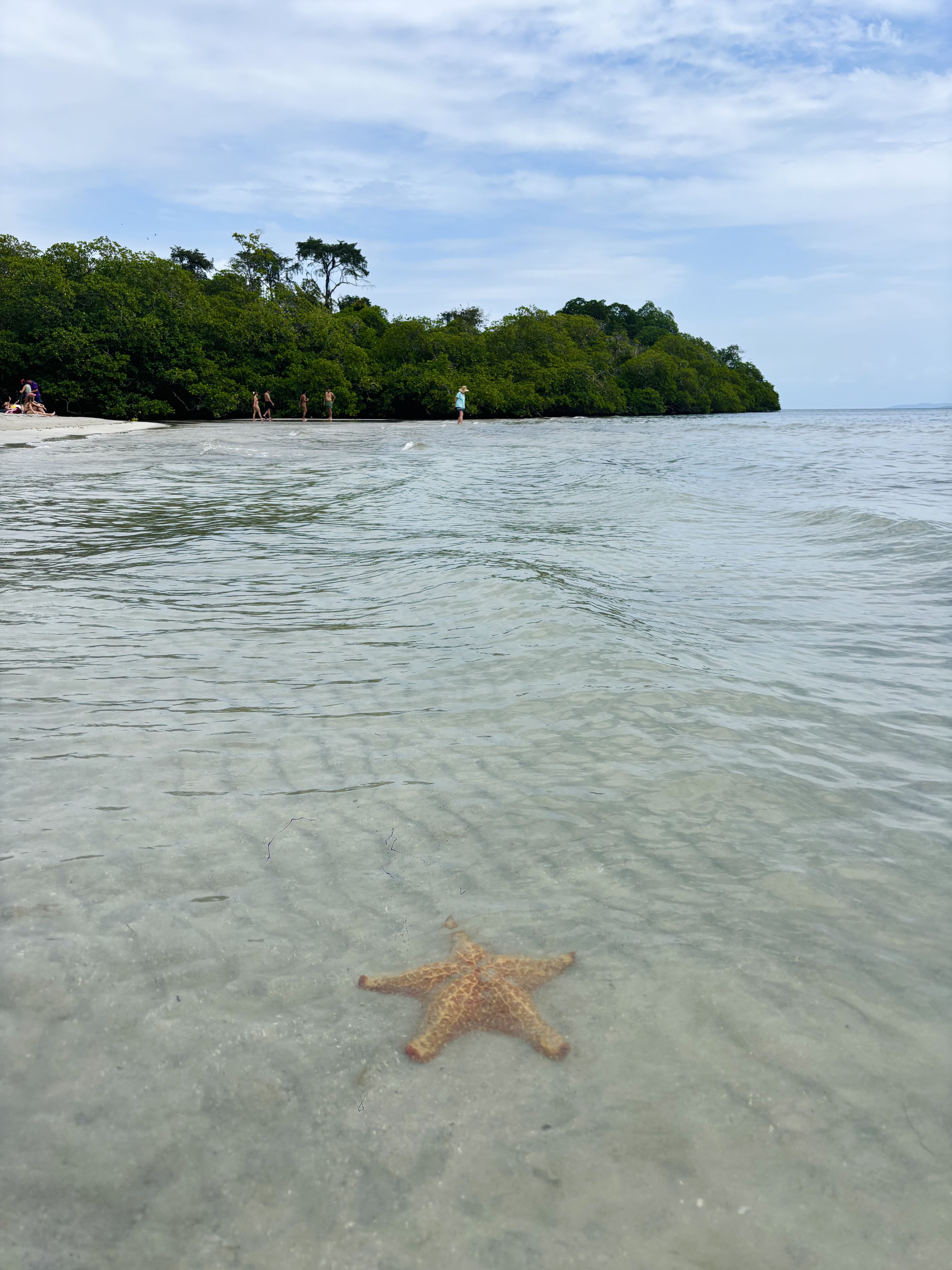 Vida en Bocas del Toro