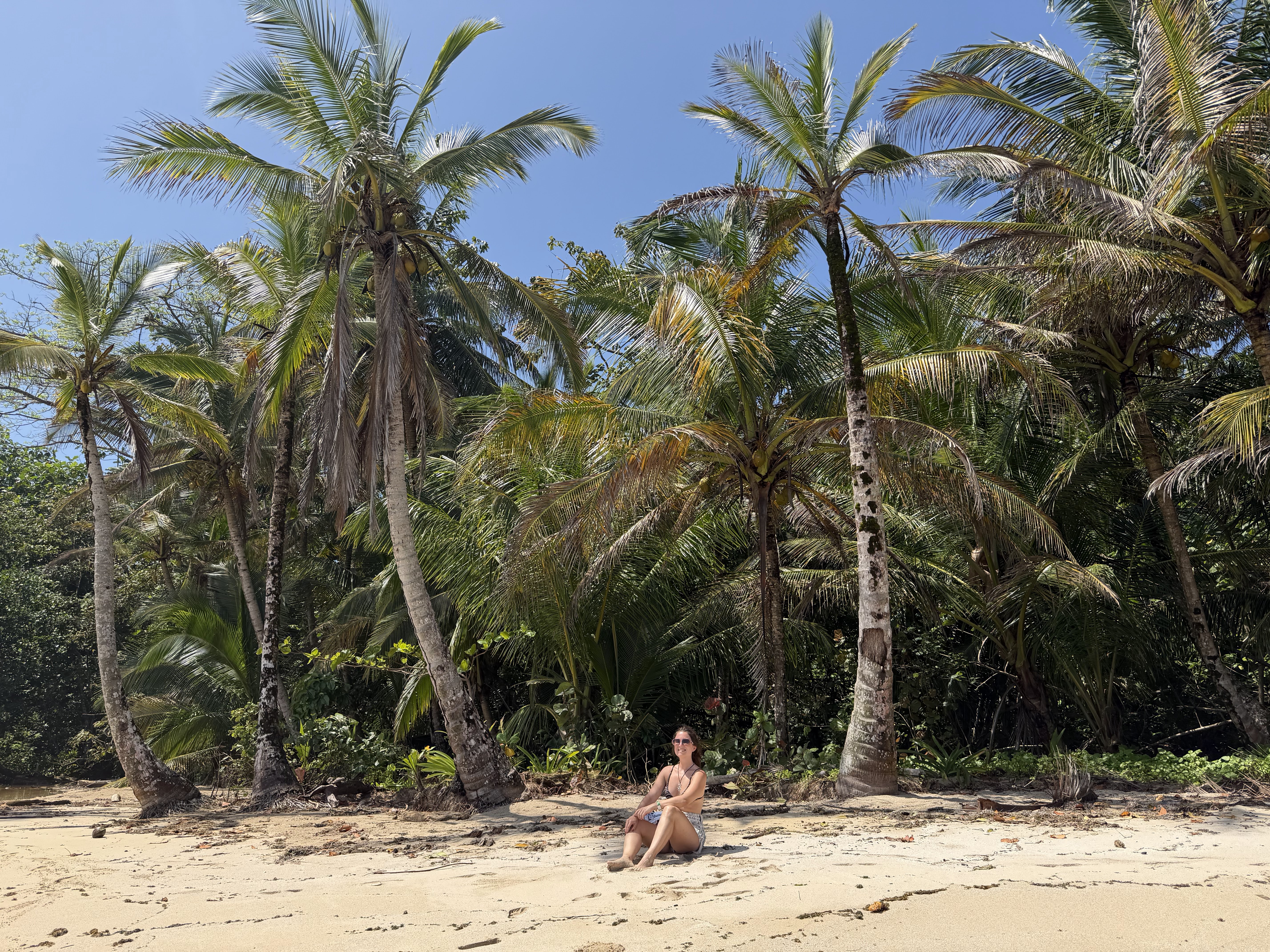 Costa del Pacifico panameno