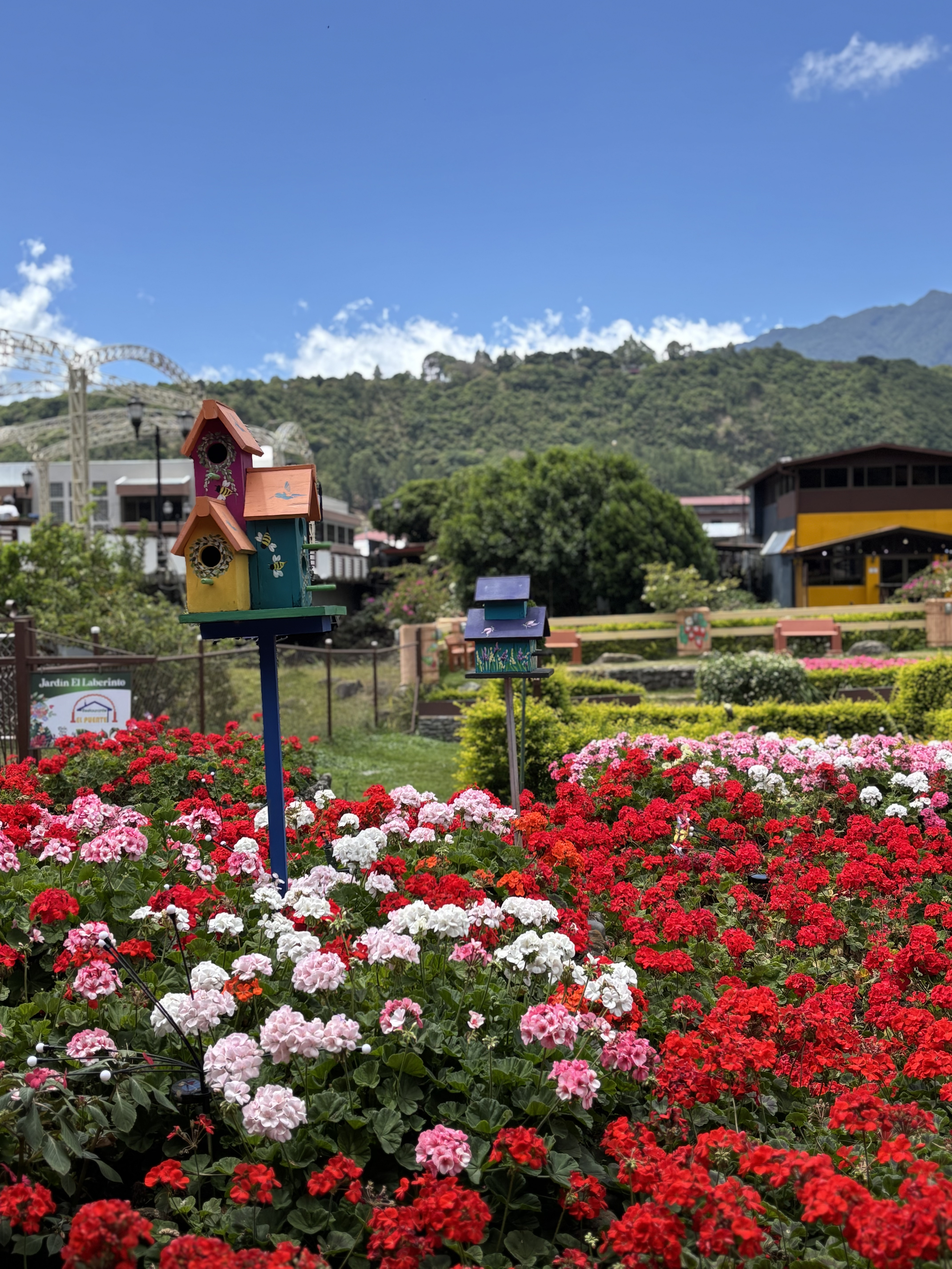 Cafetales de Boquete