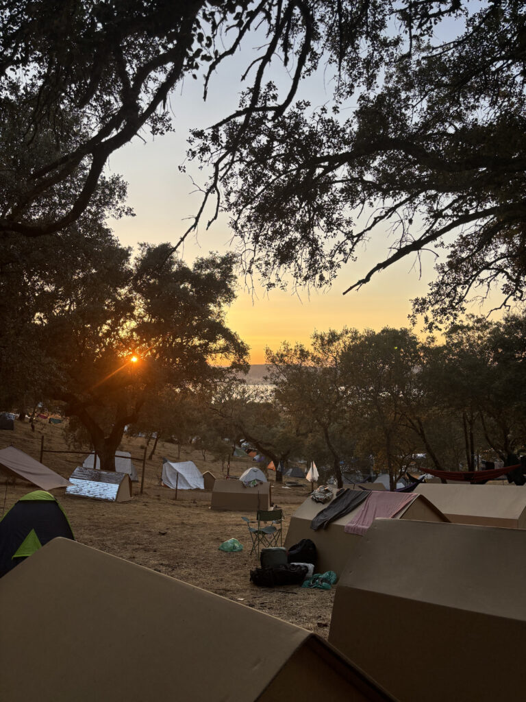 Exterior de la Cardboard Village en Boom Festival