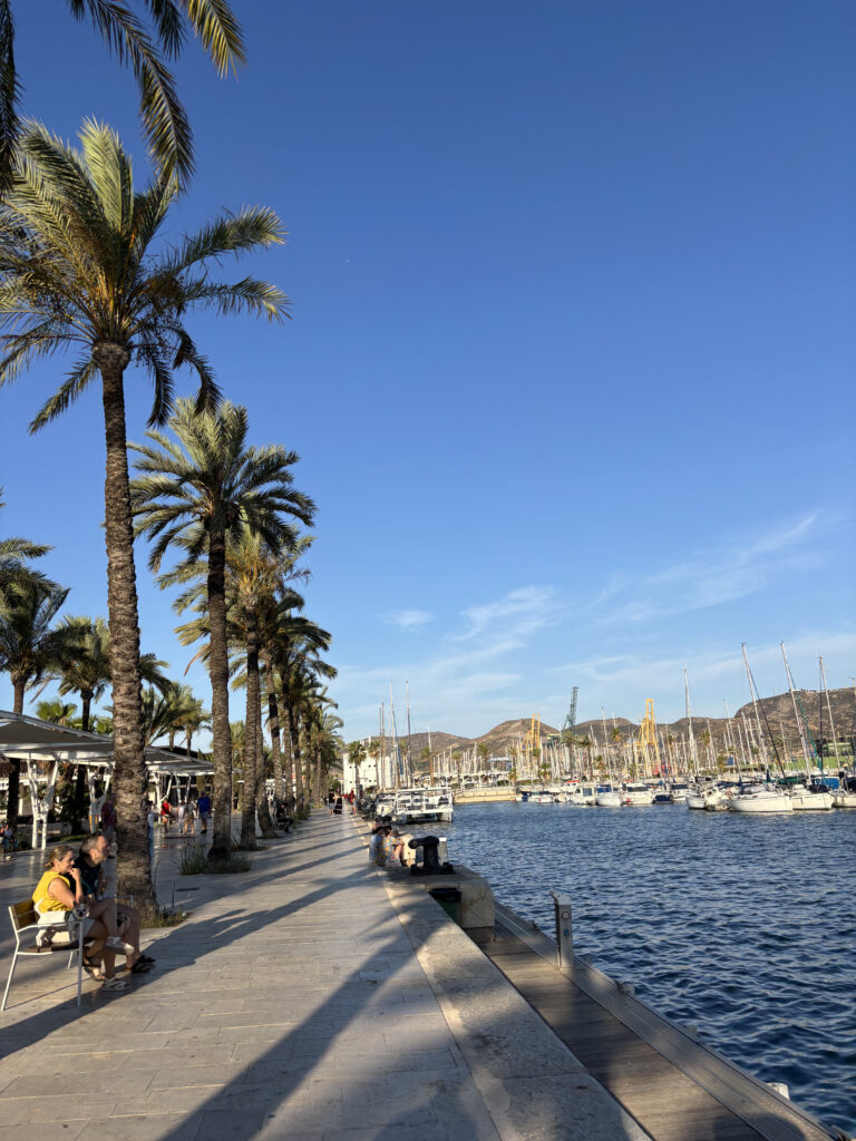 Vista de Cartagena