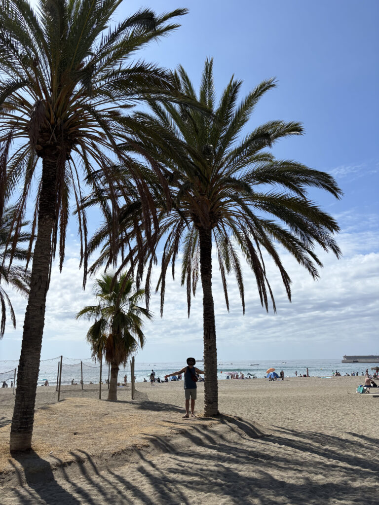 Tour por Malaga