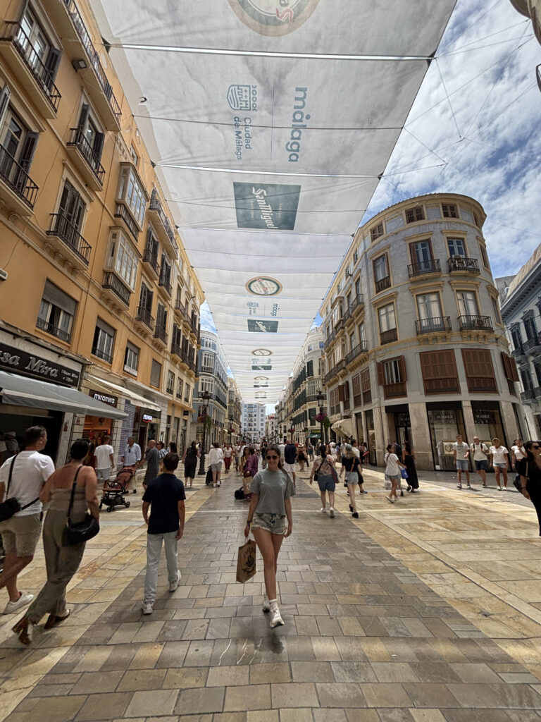 Detalle de Malaga
