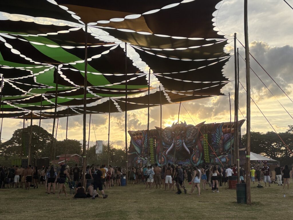 Terraviva Festival 1