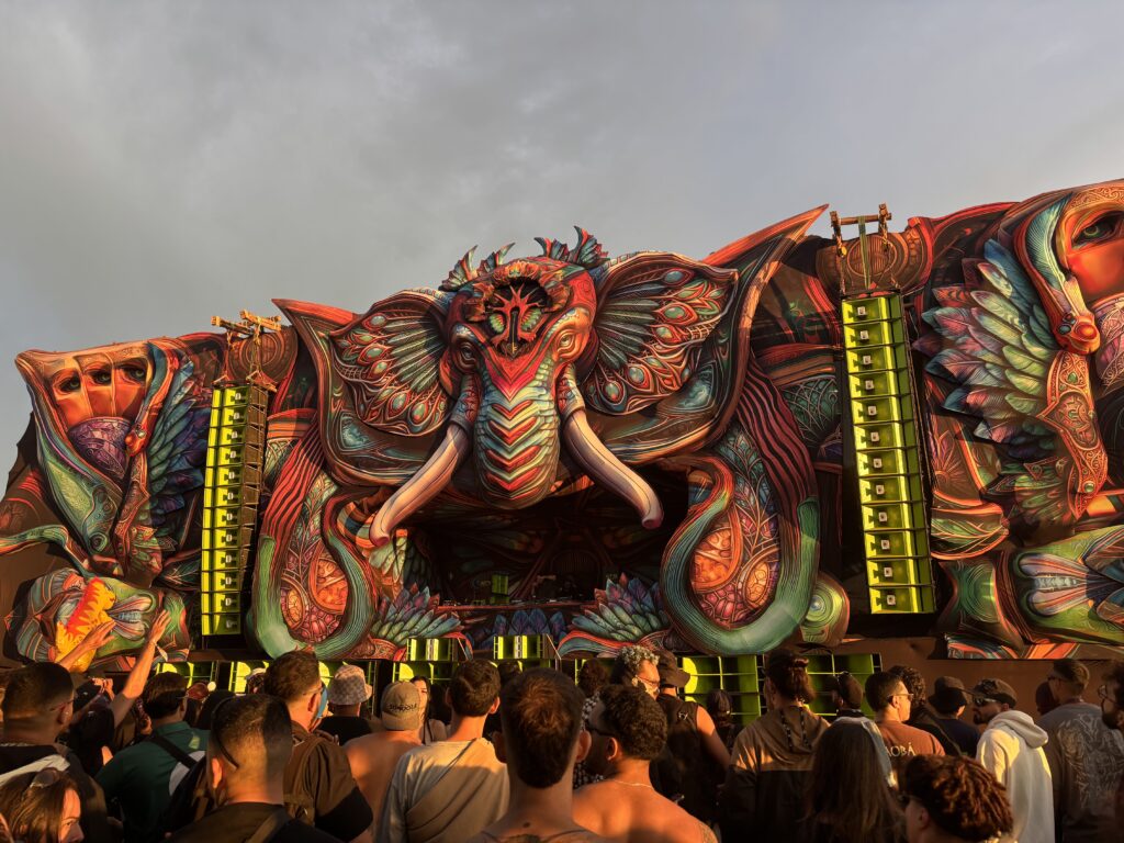 Terraviva Festival portada